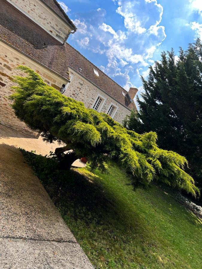 Le Domaine De Jade Appartement Chatillon-la-Borde Buitenkant foto
